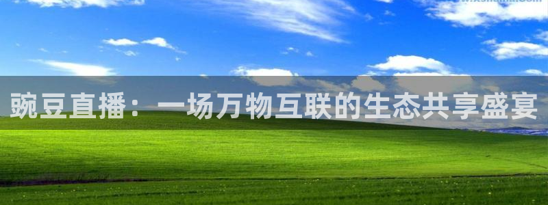 下载熊猫直播app：豌豆直播：一场万物互联的生态共享盛宴