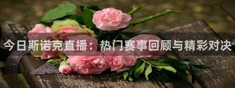 熊猫户外直播：今日斯诺克直播：热门赛事回顾与精彩对决