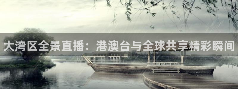 熊猫的视频：大湾区全景直播：港澳台与全球共享精彩瞬间