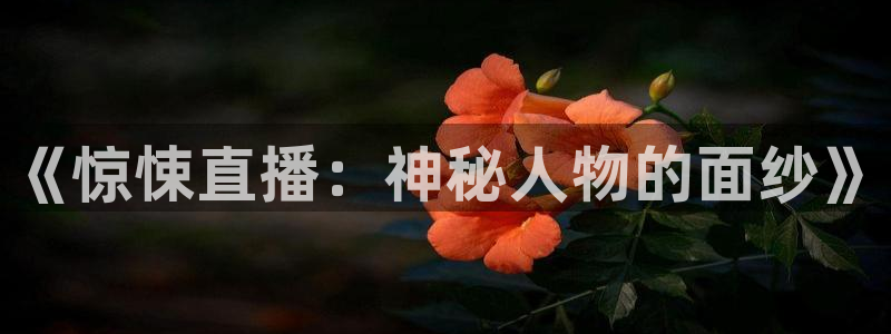 熊猫怎么直播：《惊悚直播：神秘人物的面纱》