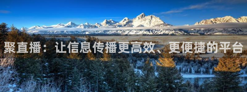 熊猫熊猫歌曲：聚直播：让信息传播更高效、更便捷的平台